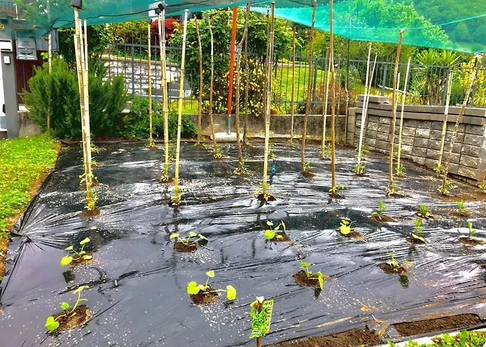 Landsted Garzola Ossuccio