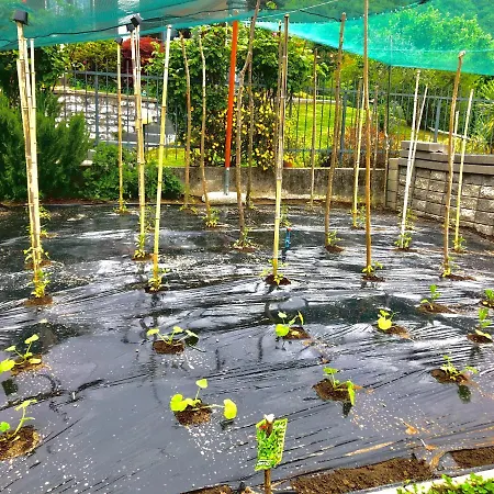 Casa di campagna Garzola Ossuccio