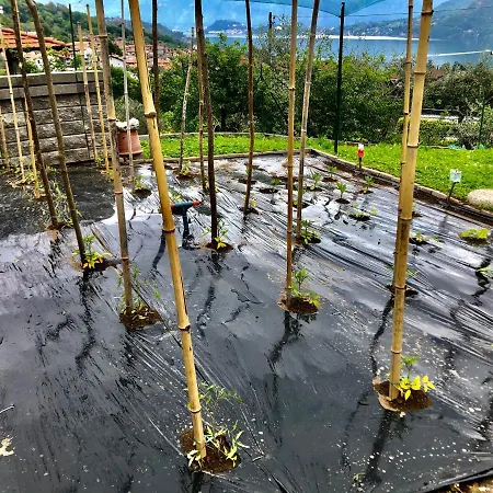 乡村民宿 加佐拉住宿加早餐旅馆 欧苏西奥