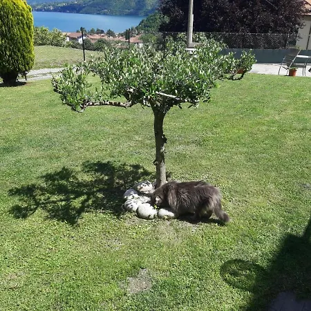 乡村民宿 加佐拉住宿加早餐旅馆