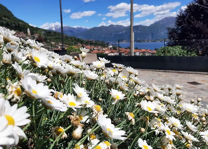 Séjour à la campagne Garzola Ossuccio