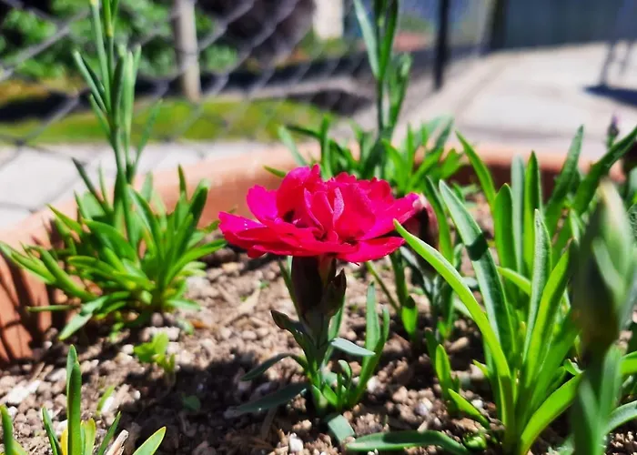 Garzola בית כפרי